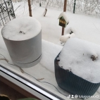 watermark-86c7d26fb974a0235aeeb4cc67642312_0