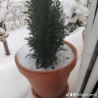 watermark-0db951ba13cf5aad81f8c57afcc29620_0