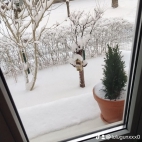 watermark-3a8f9fbcfa4b2eb9273418c8b9745c2b_0