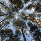 High-quality Wallpaper Pack 49 (141)