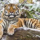 High-quality Wallpaper Pack 49 (146)