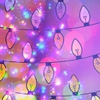 616343778_25906236992345323_7938834098339118356_n