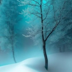 597396628_939142955101973_6965407966813388121_n