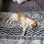 watermark-2b12d39f6d5e0befae6218531e897f96_0