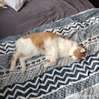 watermark-095f8d4f2fd8bcc177ddac781c4138c4_0