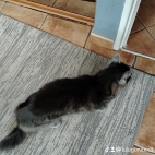 watermark-b815d5fcd1ed132f6e911c48e9aa4b27_0