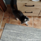 watermark-1fa41e12ca999df00e7bfa576e69ccd7_0