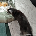 watermark-3d497c8dcddd9593733144376b41b583_0