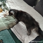 watermark-349bdff64ed933c71b8f19b5afdbe0c0_0