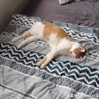 watermark-1a3ff9a2afabf0be893b7ac28986c148_0