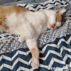 watermark-943ea6dbfc41c5007418d03ebc2b892c_0