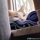 watermark-783378b085673a0fd556331b1fd2fd68_0