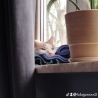 watermark-456d4cc35375662bfd76d3d4bb7ee1f5_0