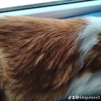 watermark-e8af8980bfd2e408437c967d13e92e60_0