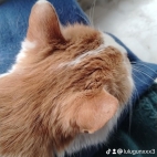 watermark-4c80392bb3371884978603877161ce55_0