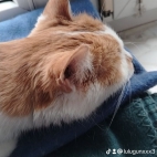 watermark-d4072f91de5f1b414d6cde79f82feb59_0