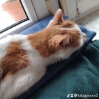 watermark-9058e25112dfabff9f432604589118b3_0