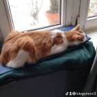 watermark-69eccaf10b43dbfb1393eb12b662cf25_0