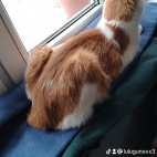 watermark-1c7a277e370ac6844da1a1baee72813a_0