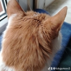 watermark-019538c1a1425a04f1dd95018c8f4652_0