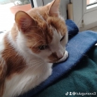 watermark-ba8b6489bd581712a9ef7b82924214f4_0