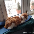 watermark-b9d1510ba011b46d9de8353347d6b98a_0