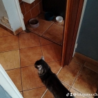 watermark-e2e2804f9f6b6eb59e881b46b1997656_0