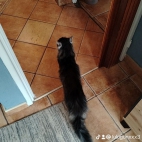 watermark-77f56f52cb38bbb8480fd3160cd1f950_0