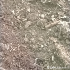 watermark-bab8f6f3f95feb0c0ea7b78958f52bcc_0