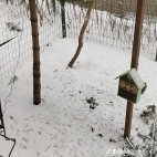 watermark-525911485cf70d789d859424b15cb726_0