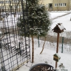 watermark-364176f67a6496162dcb1cd89f19b774_0