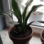 watermark-6f5f71adf27c094632d71c7b729648bb_0