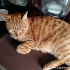 watermark-d3445db1494db1cfb5f18d5a0fec9022_0