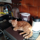 watermark-6d3c9d833b4bb0a9de9e01b8cbcf9552_0