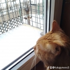 watermark-326870be5478d8060e822df587a8c63e_0