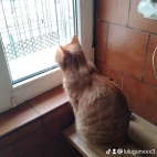 watermark-592255a16a308fdf183fe19378f00b19_0