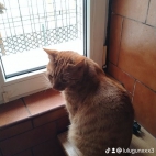 watermark-ab796a37538b9acff820f73e3ecb6f62_0