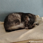 watermark-b5873a4855053ba66eaf3f14cb067c1d_0