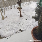 watermark-9066590add79dcec5ca70bf9e88f1614_0