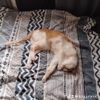 watermark-8dda60b6a873c72bde9b0ab0e1362240_0