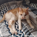 watermark-16d45fb7b79793fd5dedf27145c59b65_0