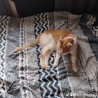 watermark-dc49c1d3c40b6b1e1356c43866efaf93_0