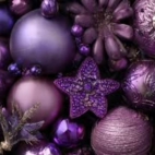 583526210_1336010587999639_8954133569932825659_n