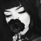 499559757_122165547848564533_7727406878581817552_n