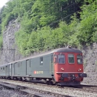 54041328_393934241421912_1544093012663992320_n