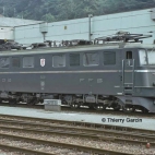 54277966_393937084754961_868204373048557568_n