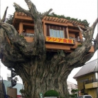 Domek na drzewie - made in china