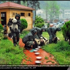 Gdy pandy nie chca rozmnazac sie same