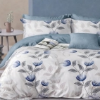 626396619_887573960696693_7045244022149712120_n