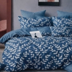 626421888_887574227363333_2920665673446457851_n